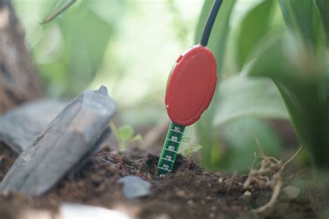 vegetronix moisture meter amazon|vh400 soil moisture sensor.